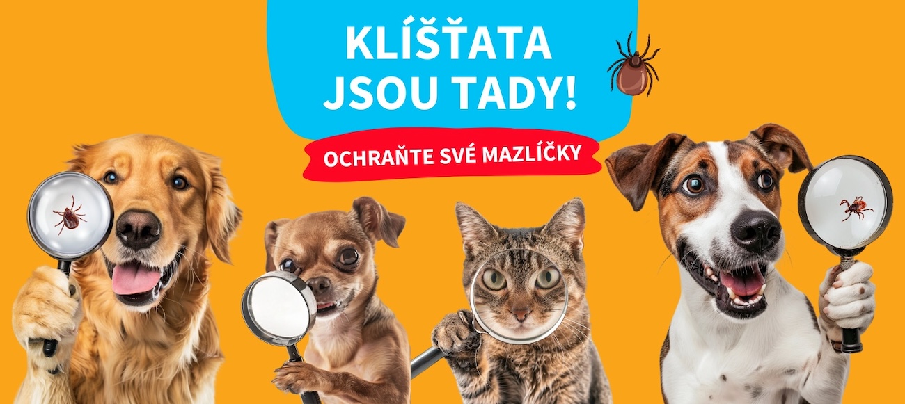 kliste